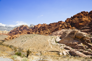 North Las Vegas, NV Substance Abuse Treatment Centers North Las Vegas, NV Substance Abuse Treatment Programs