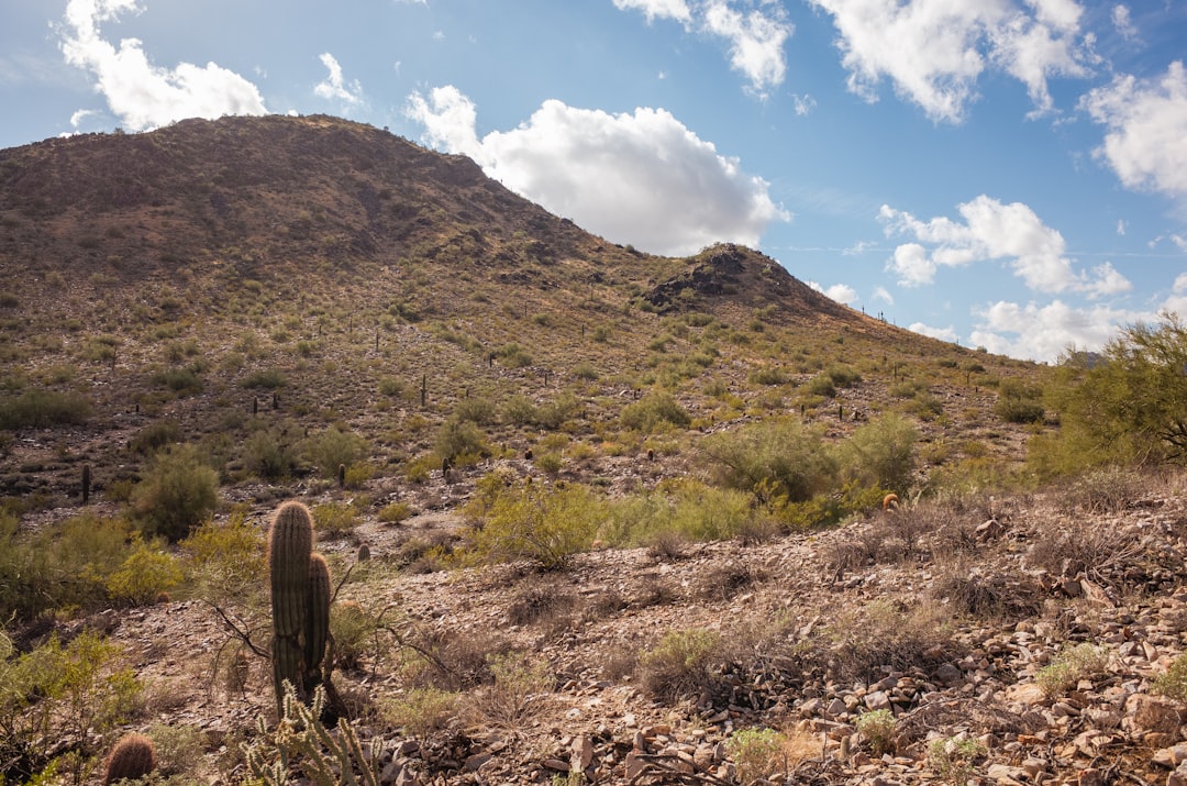 Addiction recovery programs and treatment centers across Phoenix and Tucson, Arizona