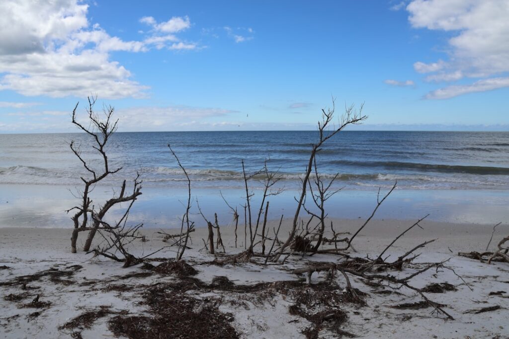 Luxury residential treatment center in Florida for depression and mental health care